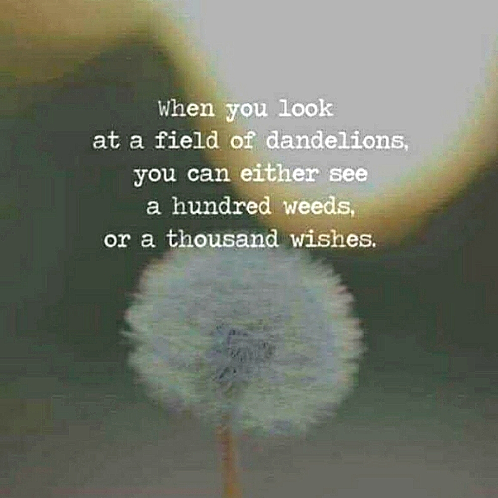 💝 ACCEPTING OFFERS ✨ 💝